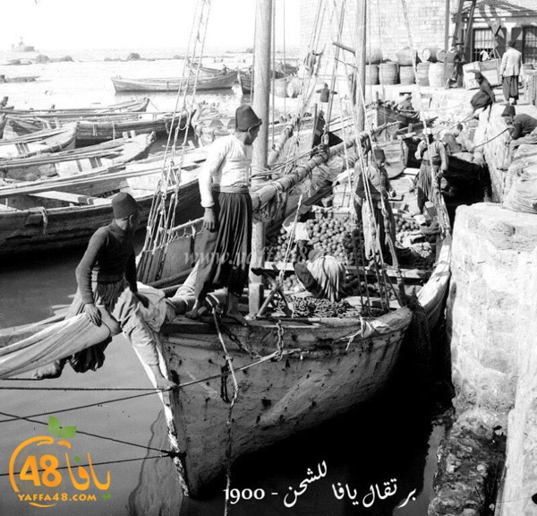 yaffa old 1934 (34).jpg